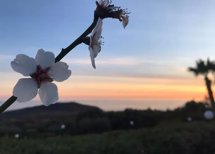 Moonlight Bubble Lentiscosa